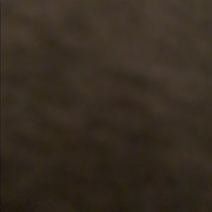 Meet your Posher, Joey